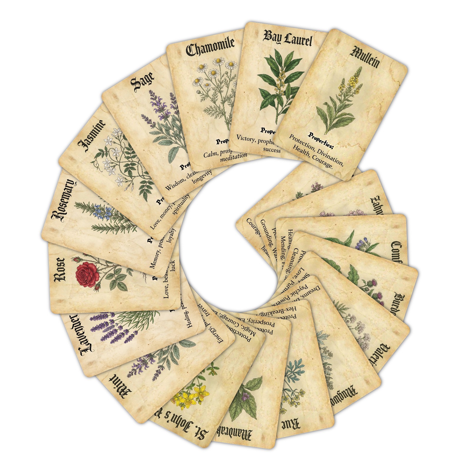 Vintage Magic Plant Theme Know - Vintage Collectible Cards 评论和价格